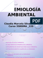 Epidemiologia Ambiental