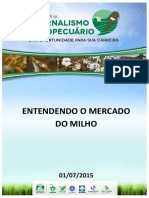 Paper_jornalistas_Milho_AO.pdf