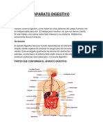 Practica APARATO DIGESTIVO