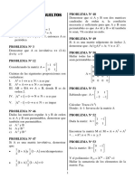 Problemas Resueltos de Matrices