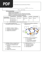 Prueba de Cs 6° global