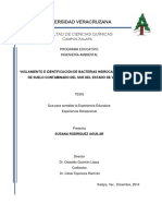 Aislamiento e identificación de bacterias hidrocarburoclastas de suelo contaminado (Aislamiento e identificación de bacterias