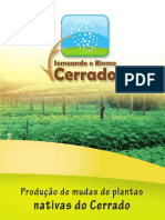 5-producao-de-mudas-de-plantas-nativa-do-cerrado-150722180954-lva1-app6891.pdf