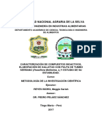 Proyecto de Investigacion - Metodologia de Investigacion Cientifica - Galletas Funcionales-Concluido