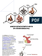 Androgenos Enfocados en Testosterona