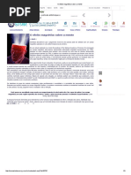 O Efeito Magnético Sobre a Mente