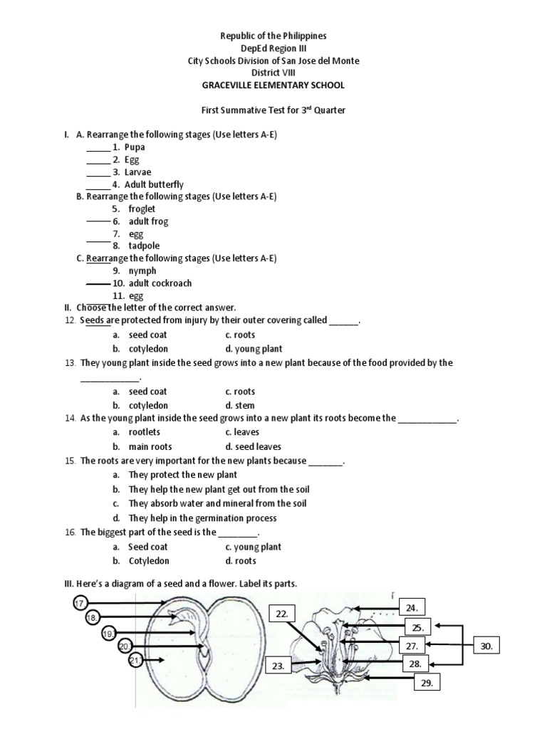 1st Summative Test in Science For 3rd QTR | PDF | Seed | Germination