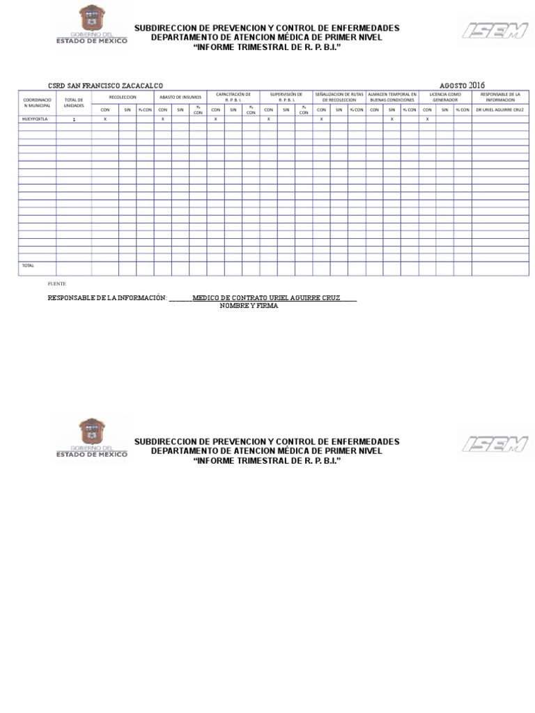 Formato Rpbi | PDF