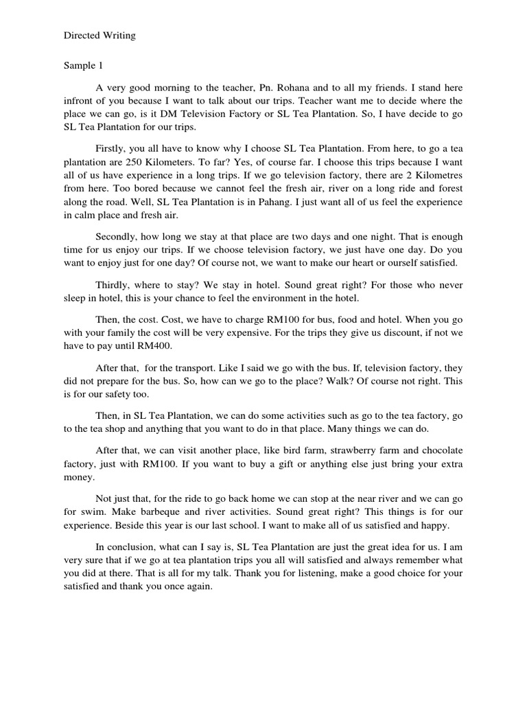 Directed Writing | PDF