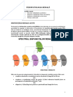 Renal 1 2017