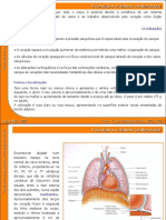 07 Sistema Cardiovascular (1)