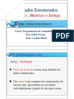 C Aula7 Vetores PDF