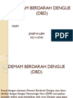 1082_DEMAM BERDARAH DENGUE.pptx