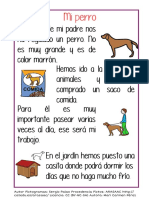 El Perro PDF