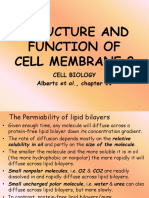 04_fungtion of m. Plasma Int. Class