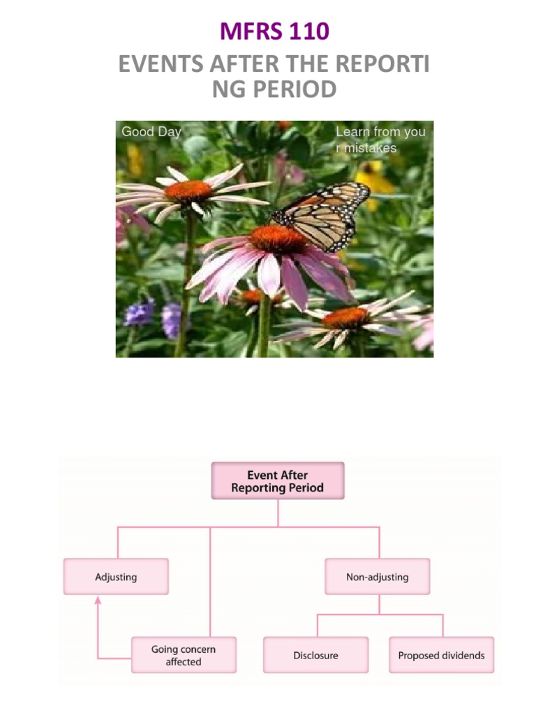 chapter-3-events-after-the-reporting-period-pdf-going-concern