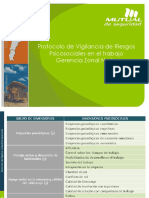 PPT Plan de Acción Protocolo.pptx