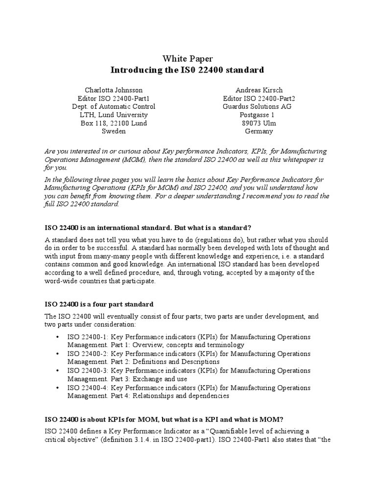 Performance indicator essay image