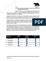 Fisipatología 16.03.31 Shockii