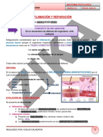 Inflamacion y Reparacion 29-02-16 PDF