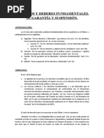 Derechos y Deberes Fundamentales PDF