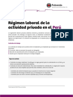Regimen Laboral de la actividad privada.pdf