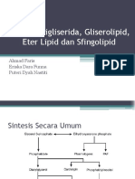 16 - Sintesis Trigliserida, Gliserolipid, Eter Lipid, Dan Sfingolipid