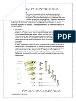 Pruebas Paleontológicas