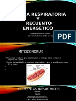 Cadena Respiratoria