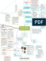 Mapa Mental Directiva