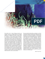 revista5.pdf