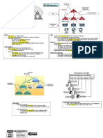 AD Infrastucture Review