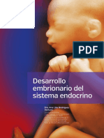 Desarrollo Del Sistema Endocrino