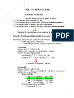 MODEL PRACTIC DE SUBNETARE.doc