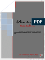 Plan_de_afaceri_Business_plan_-_Maxim_Br.pdf