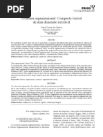 Níveis de Cultura - Hofstede