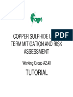 A2.40+Copper+Sulphide+long+term+mitigation