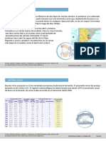Libro Construcciones 5 y 6 PDF