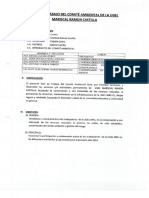 (MODELO PARA GUIARSE PDF) PLAN DE COMITE AMBIENTAL PDF
