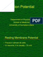 Action Potential