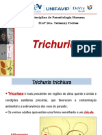 Trichuris.pdf