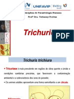 Trichuris PDF