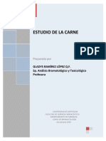 Carne_y_derivados2009.pdf