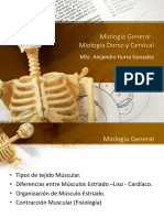 Clase Generalidades de Miologia Musculos del Dorso y Cuello