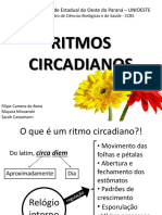 Ritmos Circadianos - SLIDES