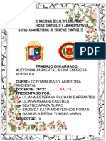 Plan y Programa - Auditoria Ambiental