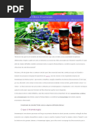 Dicionário de Óleos Essenciais - Acorda Bonita - Karina Viega