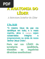 A Anatomia Do Líder