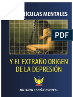 Cuadriculas Mentales y El Extaño Origen de La Depresión