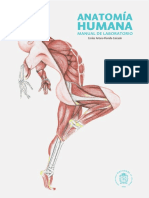 Anatomia Humana